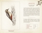 Kalendarz 2021 - Ptaki - Opracowanie zbiorowe