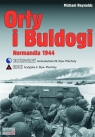 Orły i buldogi Normandia 1944 Amerykańska 29. Dywizja Piechoty Blue&Gray Reynolds Michael