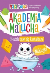 Akademia malucha 3latek bawi się kształtami - null null