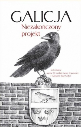 Galicja. Niezakończony projekt - Jagoda Wierzejska, Danuta Sosnowska, Magdalena Baran-Szołtys