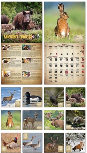 Kalendarz Łowiecki 2016 KAD-4 - Opracowanie zbiorowe