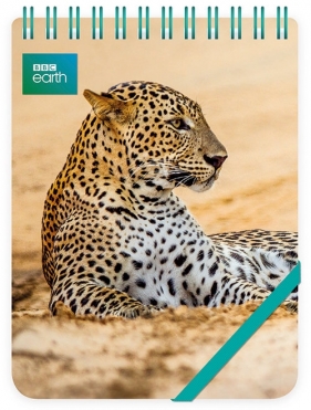 Kołonotes ozdobny Leopard in sand