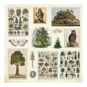 Książka z naklejkami 800szt - Enchanted Forest