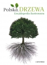 Polska Drzewa Encyklopedia ilustrowana  Przybyłowicz Anna