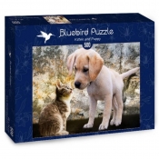 Bluebird Puzzle 500: Kotek i piesek (70004)