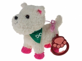 Piesek chodzący na smyczy