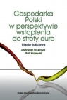  Gospodarka Polski w perspektywie wstąpienia do strefy euroUjęcie