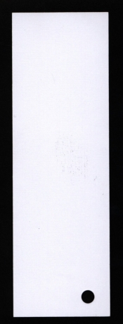 Karton wiz Kreska kratka biala W56/20