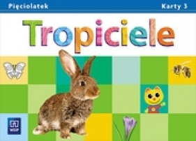 Tropiciele. Pięciolatek. Karty pracy. Część 3. Wychowanie przedszkolne - Beata Gawrońska, Emilia Raczek