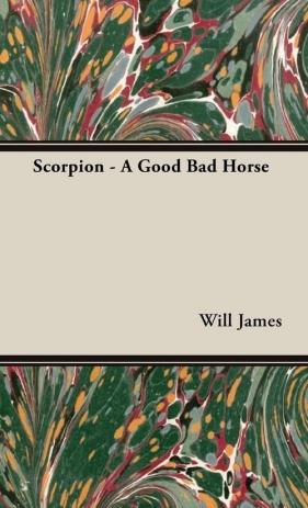 Scorpion - A Good Bad Horse - James Will