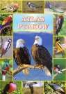 Atlas ptaków