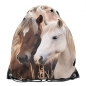 Worek na buty - Horses