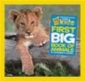 Little Kids First Big Book of Animals Catherine Hughes