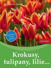 Krokusy, tulipany, lilie?