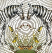 Karnet kwadrat z kopertą Zebra
