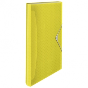 Teczka z przegródkami Esselte colour ice A4 kolor: żółty 6 przegródek (626250)
