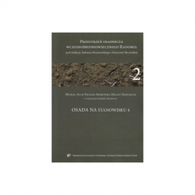 Osada na stanowisku 4 - Opracowanie zbiorowe