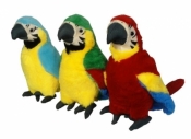 Papuga MIX