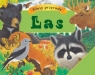 Głosy przyrody Las Trójwymiarowe sceny z podkładem dźwiękowym Pledger Maurice