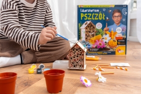 I'm a genius - Laboratorium pszczół
