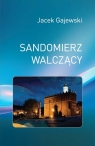 Sandomierz walczący