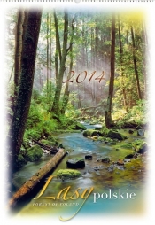 Kalendarz 2014 RW 4 Lasy polskie - <br />