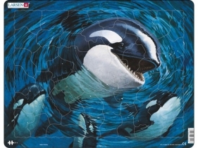 Orka - <br />
