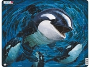 Orka - <br />