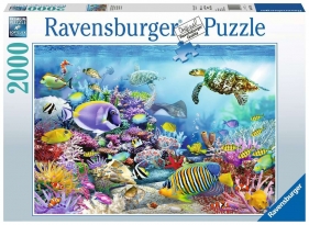 Puzzle 2000: Rafa koralowa