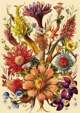 Interdruk, Puzzle 1000: Flowers 5 - Wild Florals