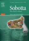 Atlas anatomii człowieka t.1 Sobotta Głowa, szyja, kończyna górna