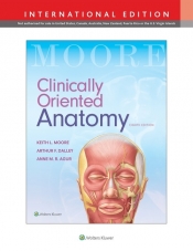 Clinically Oriented Anatomy 8e - Moore Keith L., Agur Anne M. R.