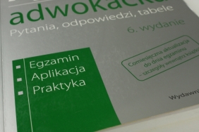 Aplikacja adwokacka (Uszkodzona okładka) - Stepaniuk Mariusz