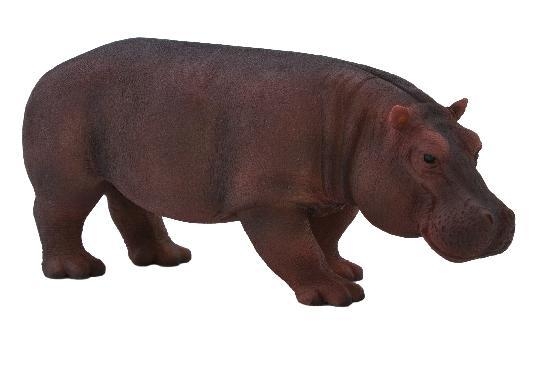 ANIMAL P. Samica hipopotama (F7104)