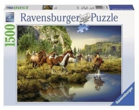 Puzzle 1500: Dzikie konie (RAP163045)