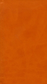 Kalendarz 2011 książkowy Active canyon pomarańcz