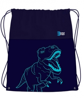 Worek na buty T-Rex (SO-01)