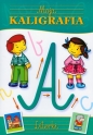 Moja kaligrafia. Literki - Dorota Krassowska, Dorota Fic