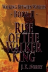 Rise of the Walker King Walking Between Worlds; Book II Norry J. K.