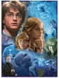 Ravensburger, Puzzle 500: Harry Potter w Hogwarcie (12000204)