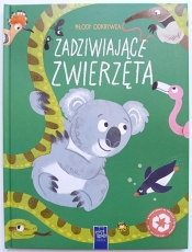 Młody odkrywca. Zadziwiające zwierzęta - Opracowanie zbiorowe