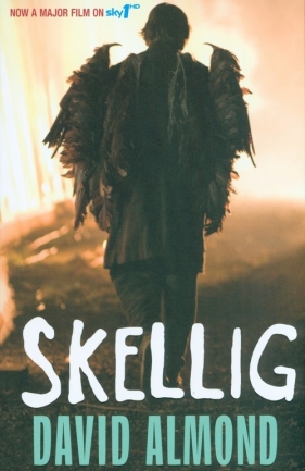 Skellig - David Almond