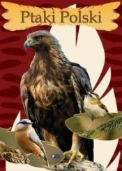 Ptaki Polski - Opracowanie zbiorowe