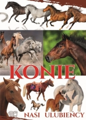 Konie - nasi ulubieńcy - Opracowanie zbiorowe