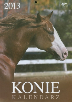 Kalendarz 2015 Konie - <br />
