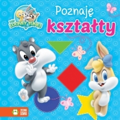 Poznaję kształty