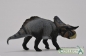 Dinozaur Nasutoceratops titusi