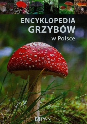 Encyklopedia grzybów w Polsce - Kamiński Wiesław, Flaczyńska Malwina
