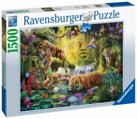 Ravensburger, Puzzle 1500: Tygrysy nad wodą (160051)