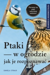 Ptaki w ogrodzie. Jak je rozpoznawać - Daniela Strauss